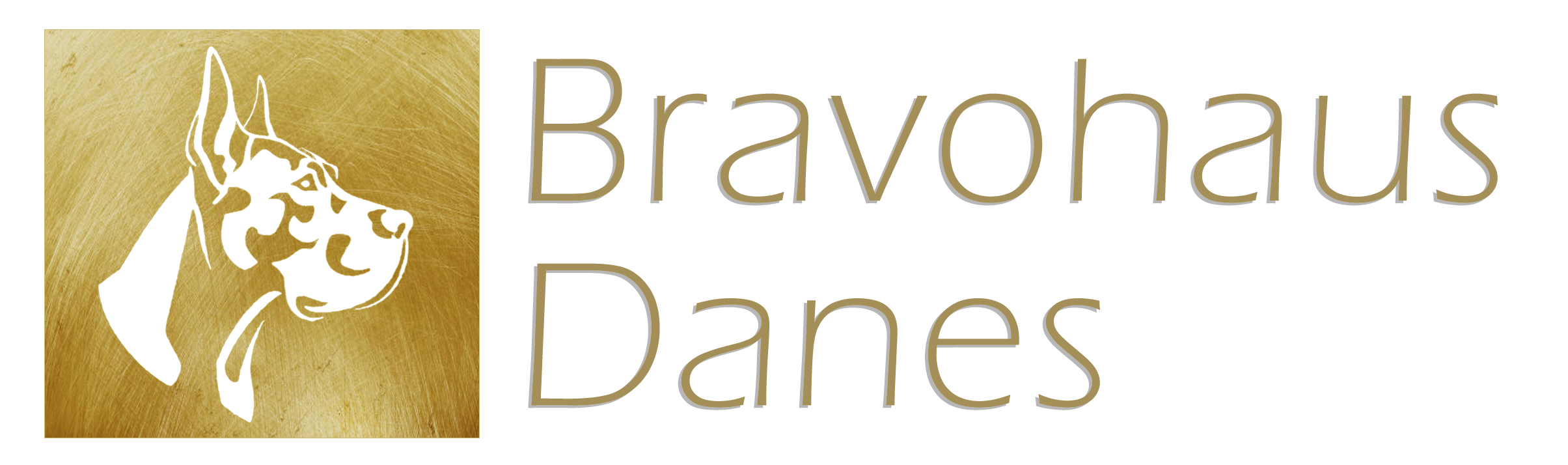 Bravohaus Danes Logo